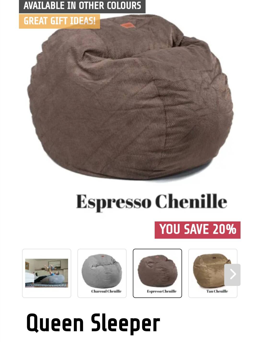 Queen Sleeper bean bag bed
