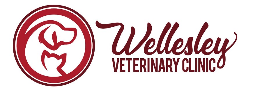 Wellesley Veterinary Clinic